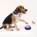 Dog Buttons Talk Training Dog Buttons for Communication Pet Talking Training Answer Buzzer 30 Second Record &Playback Funny Gift for School Study Office Home (Packs-4) - Buy Online on SooperMarket.com