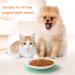 Ceramic Cat Food Plates and Wide Bowls for Stress-Relief Whisker Fatigue | Cat Feeding Dishes in White & Black - Buy Online on SooperMarket.com