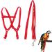 Felenny bird dishes and leash adjustable birdeine indispensable accessories outdoor flight anti-bite suitable for scarlet red ara sun conure nymphensittich papagei (red (large))