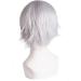 MapofBeauty Men's Short Straight Wig - Silver Grey Cosplay Costume - Buy Online on SooperMarket.com