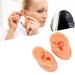 Waterproof Simulated Teaching Ear Model for Doctors - Long Lasting Artificial Ear - Buy Online on SooperMarket.com