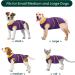 Kuoser Dog Body After Surgery - Breathable Recovery Suit for Male & Female Dogs | Leakage Protection & Anti-Licking | Purple L (1 Pack) - Buy Online on SooperMarket.com