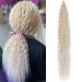 DSoar 30 inches 3 Packs deep twist crochet hair ocean wave curly bohemian crochet braids deep wave hair bundles synthetic hair extensions for women girls 30inch 18/56c#