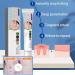 Face Cream Body Cream Anti-Itch Cream Chinese Herbal Cream Skin Repairing Cream for Face Body Cream for Itchy Skin Moisturizing Skin Cream 20 g - Buy Online on SooperMarket.com