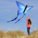 HENGDA Butterfly Kite for Kids & Adults - Outdoor Single Line Kite with Flying Tools - Buy Online on SooperMarket.com