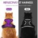 Breakproof Cat Leash Set with Adjustable Reflective Vest & Dishes for Small Kittens - Purple XS - Buy Online on SooperMarket.com
