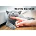 DrFormulas Nexabiotic Probiotics for Cats Powder - Saccharomyces Boulardii & Lactobacillus Acidophilus | Digestive Health Supplement for Pets - 30 Capsules - Buy Online on SooperMarket.com