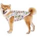 Cool Summer Pet T-Shirt for Medium & Large Dogs | Breathable Sun Protection Vest | Dinosaur Design (XS White) - Buy Online on SooperMarket.com