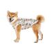 Pet clothing summer t-shirt cool breathable sun protection dog vest clothing outfit for medium-sized and large dogs (size S white dinosaurs)