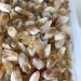 Raw Crystals Bulk Natural Stone Crystal Rough Citrine Crystal Point 20pc Full of Texture - Buy Online on SooperMarket.com