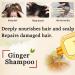 Ginaday Instant Ginger Hair Regrowth Shampoo 17.6oz - Hair Growth & Anti-Hair Loss Care - 500ml - Buy Online on SooperMarket.com