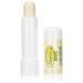 Aloe Vera Gold Lip Care Stick Pack of 5 (5 x 5 ml)