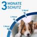Buy Frontline Spot On Dog - Effective Flea & Tick Treatment | Fast International Shipping - Buy Online on SooperMarket.com