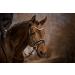 Horsecode Bridle Moonlight Diamond W Warmblood