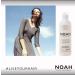 Noah Hair 1.5 Purifying Shampoo - Organic Green Tea & Basil Shampoo | Natural Dandruff Solution | 8.5 fl. oz - Buy Online on SooperMarket.com