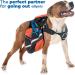 Edipets Retractable Dog Leash - 5m Flexileine for Dogs up to 50kg | Extendable & Inserable Walking Band - Buy Online on SooperMarket.com
