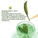 Organic Stevia Leaf Sweet Tea | Herbal Tea | 20g Plant Gift for Health - Buy Online on SooperMarket.com
