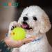 Laroo Dog Toys - Durable Natural Rubber Squeaker Football for Small & Large Dogs (6.5cm Green) - International Shipping Available - Buy Online on SooperMarket.com