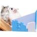 HAPINARY 1pc Hamster Toilet Trash Can Chinchilla Toilet Hamster Litter Toilet Small Pet Supply PVC 15x10cm Blue - Buy Online on SooperMarket.com