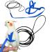 Newsmy Bird Harness Adjustable Feather Tether Parrot Harness Leash Outdoor Training Carrier for Budgerigar Lovebird Cockatiel Mynah Cockatoo Parakeet Macaw (Blue S)