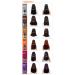 Color UP Hair Manicure & Coating Treatment 8.45fl. oz - Red Wine - Made in Italy | International Shipping Available - Buy Online on SooperMarket.com