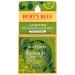 Burt's Bees 100% Natural Moisturizing Lip Butter with Rosemary & Lemon  6 Tins Rosemary Lemon 0.4 Ounce (Pack of 1)