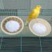 Bird Cage Nest Cotton Weave Hemp Rope Bird House Bed Hatching Nesting Box with 2 Fixing Screws Parrot Cage Hatching Nesting Box for Budgie Cockatiel Lovebird - Buy Online on SooperMarket.com