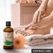 Aloe Vera Pure Oil 100ml - Aloe Barbadensis Brasil - Skin, Face & Baby Oil - Glass Bottle - Buy Online on SooperMarket.com