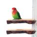 Tfwadmx Parrot Perch for Cage, 2 Pack Bird Stand Platform Natural Wood Playground Cage Accessories for  Parakeet Cockatiel Lovebird Finches Conure Budgie
