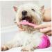 CORHAD 12pcs Double Head Dog Toothbrush Dog Finger Toothbrush Dog Toothbrush Toothpaste Dog Tooth Care Pp - Buy Online on SooperMarket.com