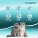 AmeizPet Catnip Spray for Cats - 50 ml Behavior & Scratching Mist - Buy Online on SooperMarket.com