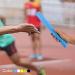 Junior Relay Track Batons - Plastic Tube Running Stick for Outdoor Athletics - Black - Buy Online on SooperMarket.com