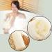 6 Pcs Natural Luffa Sponge Set - Biodegradable Luffa Sponges for Body Washing Shower Scrubs & Kitchen Cleaning - Buy Online on SooperMarket.com