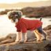 Dog Jumper Warm Dog Sweater Puppy Sweater Winter Knitted Dog Pullover Dog Cat Coats Pet Sweater Knitwear Coat Winter Pet Turtleneck Vest Soft Turtleneck Dog Clothes Vest for Pet Autumn Winter Large Red - Buy Online on SooperMarket.com