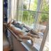 Sunny Seat Cat Window Perch Hammock | Space Saving Cat Bed | Size 55x35cm - Buy Online on SooperMarket.com