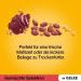 Buy Pedigree Multipack - 4 Flavor Mixed Selection in Jelly (2x12x100g) | Chicken Beef Lamb & Poultry | 2.4KG (1 Pack) - International Shipping Available - Buy Online on SooperMarket.com