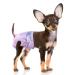 Flying Paws Disposable Dog Diapers Suitable for Dogs and Cats Adjustable Disposable Diapers 10-40 Pack (XS-20 Pack) XS 20.0
