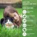 Cat Repellent Treatment Adjustable Cat Repellent Collars Natural Protection Repellent Collar for Cats Water Resistant Repellent Collar for Cats Small-Medium-Large Orange 4pack - Buy Online on SooperMarket.com