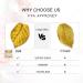 GARYOB Gold Luster Dust Edible Cake Gold Dust (7g) (Gold) - Buy Online on SooperMarket.com