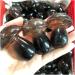 Natural Fluorite Quartz Gem Crystal Mushroom Polished Raw Stones Home Decoration Reki Gifts HOMEZHOU - Buy Online on SooperMarket.com