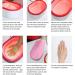 2pcs Rose Paraffin Wax Refills for Spa & Home Facials | Moisturizing & Nourishing Hand & Foot Care | Winter Skin Care Treatment - Buy Online on SooperMarket.com