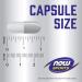 Now Foods L-Glutamine Double Strength 1000mg 120 Capsules - 2 Pack - Buy Online on SooperMarket.com