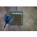C&S Wild Bird Double Suet Basket  2.7" D x 5.3" W x 5.2" H - Buy Online on SooperMarket.com