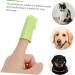 HAPINARY 1 Set Pet Toothbrush Pet Mouth Cleaning Tool Pet Dog Toothbrush Cat Toothpaste Tools Pets Pp - Buy Online on SooperMarket.com