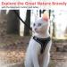 Escape Proof Cat Harness Set with Lead for Cats - XS Size - Buy Online on SooperMarket.com