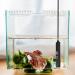 Mioyoow 10W IP68 Waterproof Mini Aquarium Heater - Temperature Controller for 0.5-1.3 Gallon Aquariums - Compliant with European Regulations - Buy Online on SooperMarket.com