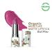 Moisture Matte Lipstick - Red Wine | Long-Lasting Hydrating Organic & Vegan | Creamy Matte Finish | 4gm - Buy Online on SooperMarket.com