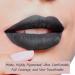 Mynena Gray Liquid Lipstick - Matte Velvet Finish | Long Lasting, Waterproof & Lightweight | Talc-Free, Mica-Free, Gluten-Free & Paraben-Free | Alvira - Buy Online on SooperMarket.com