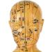Human Female Acupuncture Anatomical Model with Acupuncture Points Bronze Color 50Cm - Buy Online on SooperMarket.com