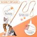 Breakproof Cat Leash Set & Adjustable Soft Kitten Vest - Reflective Stripes | Orange Small Dishes for Kittens - Buy Online on SooperMarket.com
